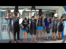 Great movie with actual footage! Pin On Dolphin Tale 2