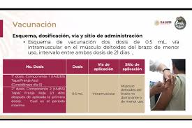 México estará a cargo del envasado, distribución y exportación de entre 150 y 250 millones de dosis en la región, con. Inician Brigadistas Buap Capacitacion Para Integrarse Al Operativo Correcaminos Programa Para Vacunacion Contra Covid 19 Boletines Buap