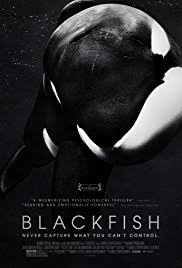 Blackfish Teach With Movies