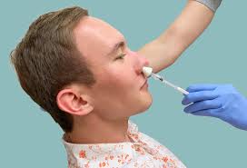 Next coronavirus vaccine could be a nasal spray