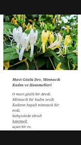 Mavi Gozlu Dev Nazim Hikmet Bahce Mavi Kadin
