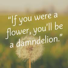 What a way to make a living. Plant And Flower Puns Guaranteed To Make You Laugh Zflowers Com Blog
