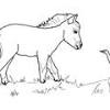 Momma horse with her foal: 1