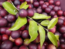 Here, we list the top fruits in the philippines and be amazed at how tasty they all are! 9 Exotic Fruits That You Must Try At Least Once Healthifyme Blog