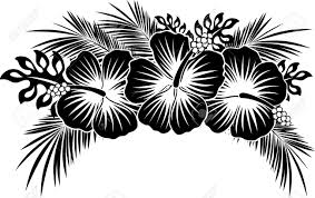 63 images hawaiian flower clip art black and white. Hibiscus Flowers With Tropical Leaves In Black And White Royalty Free Cliparts Vectors And Stock Illustration Image 133824997