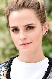 Emma Watson defends Taylor Swift in copyright battle