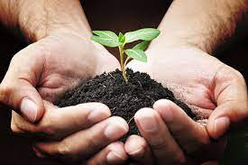 Releases in one convenient playlist. 9 Steps To Perfect Health 2 Nourish Your Body Chris Kresser