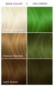 Phantom Green In 2021 Arctic Fox Hair Dye Olive Hair Green Hair Colors