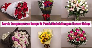 Check spelling or type a new query. Servis Penghantaran Bunga Di Perak Mudah Dengan Flower Chimp Eintan Nurfuzie Lifestyle Beauty Travel Tips Rawatan Kucing Review
