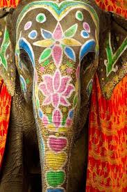 Elephant Festival Jaipur India They Are Beasts Of Burden In India And Other Places The Elephant Festival Elephant India Elephant Painting Indian Elephant