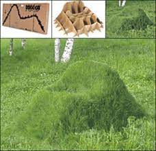 Grass Armchair Furnishings Better Living Through Design A Live Grass Chair For The Lawn Outdoor Garden Inspiration Outdoor Furniture