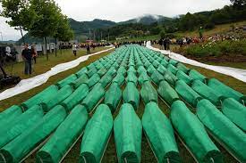 In srebrenica lived about 67 4.serbs moved their army from srebrenica, muslims not, 3500 of them remained in this area, were. Ankundigung Podiumsdiskussion 15 Juni Berlin 20 Jahre Srebrenica Genocide Alert