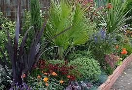 Pin On New Garden Ideas