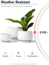 Maybe you would like to learn more about one of these? Buy Le Tauci Plant Pots With Drainage Holes And Saucers 4 5 6 5 Ceramic Pots For Plants Planters Indoor Plants Small To Large Sized Set Of 3 Cream White Online In Vietnam B08ccps5cv