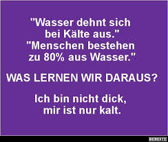 330 Lustige Spruche Ideen Lustige Spruche Spruche Lustig