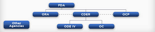 Organizational Chart