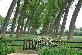 Kasteel Oostkerke Kasteel Tuin Belgie