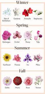 Cheap Wedding Flowers Top Tips For A Bride On A Budget Wedding Flower Guide Tropical Wedding Flowers Flower Guide