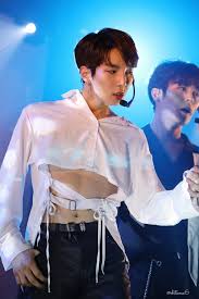 Lee Junyong Crop Top Mens Crop Top Gender Fluid Fashion Kpop Guys