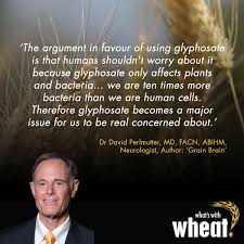 Maybe you would like to learn more about one of these? What S With Wheat On Twitter Quote From Our Documentary Whatswithwheat By Davidperlmutter Grainbrain