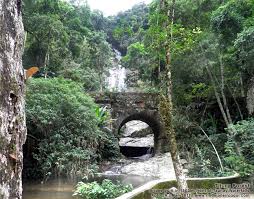 Image result for tijuca national park