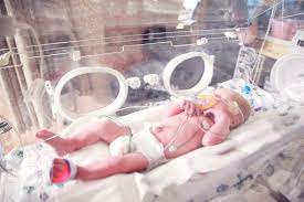 Incubator Pictures Download Free Images On Unsplash