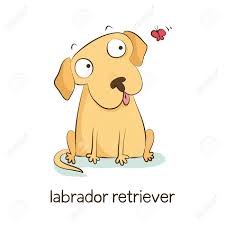 Maybe you would like to learn more about one of these? Labrador Retriever Cute Vector Cartoon Dog Character Watching Butterfly Isolated On White Royalty Free Kliparty Vektory A Ilustrace Image 61109584