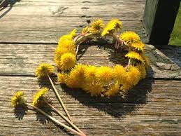 Pinterest Yellow Aesthetic Hufflepuff Aesthetic Dandelion