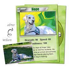 Well time to spill the beans, here is how you make them (sort o. Mytradingcards Com The 1 Online Trading Card Maker