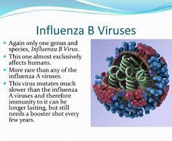 What is influenza and how can it affect you? I Just Got Over Having Influenza B Flu Have You Had This Flu This Season Toluna