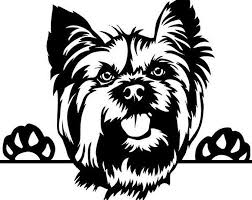 yorkshire terrier 17 gucken yorkie hund abstammung reinrassig etsy logos ts abstammung etsy gucken logos reinrassi yorkie yorkshire terrier terrier