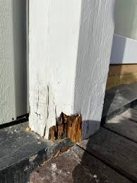 Image result for site:byggahus.se träskada