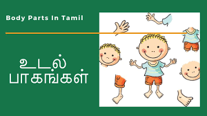 Now we move the next topic by clicking the next button. Body Parts In Tamil For Kids Youtube