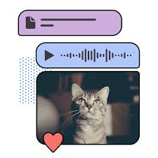 Discover recipes, home ideas, style inspiration and other ideas to try. Signal Home