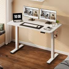 FLEXISPOT E6 Standing Desk