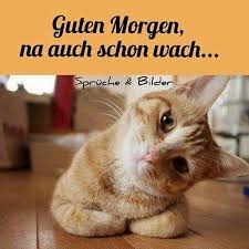 Sprüche sonntag archives schöne bilder whatsapp bilder. Memesbams Com Wp Content Uploads Sites 2 2018 0