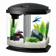 Aqueon Bettabow Aquarium Led Starter Kit 2 5 Gallon Black Walmart Com Walmart Com