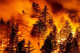 Todas las noticias sobre incendios en cadena ser: Fotos Los Incendios En California Y Oregon Arrasan La Costa Oeste De Ee Uu En Imagenes Internacional El Pais