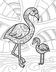 Zendoodle Coloring Baby Animals Jeanette Wummel Macmillan Flamingo Coloring Page Unicorn Coloring Pages Animal Coloring Pages