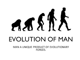 evolution of man