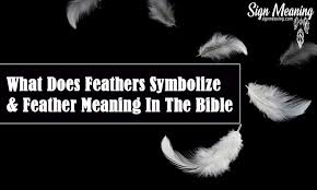 What Does Feathers Symbolize And Feather Meaning In The