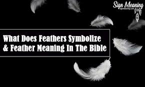 what does feathers symbolize and feather meaning in the