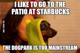 Pic Found On Trending Saw Meme Opportunity Introducing Hipster Wiener Dog 9gag