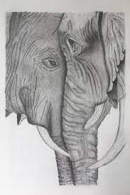 Dibujos de anime a lapiz dibujos de tigres elefante para dibujar dibujos de leone's lapiz dibujos de pavo real dibujos chidos a lapiz dibujos en carboncillo dibujos a lapiz de tatuajes dibujos de elefantes para colorear dibujos con lapiz faciles dibujos de gallo 's a. Dibujo Grafito Lapiz Imagen Gratis En Pixabay