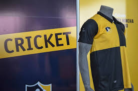 The club was founded in 1891 by british it is a legendary club with its famous yellow and black stripes. Uruguay S Greatest Football Club Penarol Rediscovers Cricket Roots