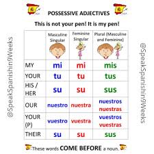 Possessive Adjectives In Spanish These Types Of Adjectives Are Used To Express Possessive Adjectives Possessive Adjectives Spanish How To Speak Spanish
