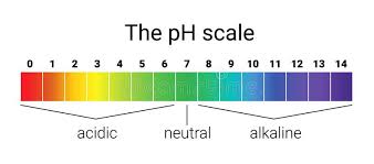 ph scale infographic acid base balance scale for chemical