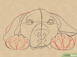 While some sees them as a liability, source of food, some other are fond of it as a pet. How To Draw A Dog Face With Pictures Wikihow