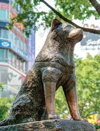 The hachiko statue built in 1934 is now shibuya's symbol. Hachi A Dog S Tale The Real Story Of HachikÅ The World S Most Loyal Dog Vicki Wong Hachi