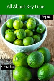 All About Key Lime Key Lime Lime Key Lime Juice